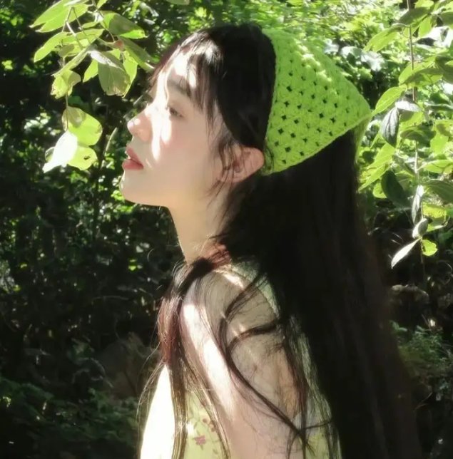 香草的天空 海报